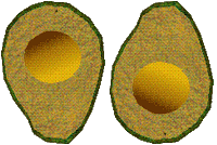 avocado