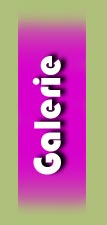 Galerie