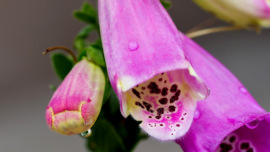 018