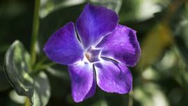 019