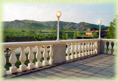 Clicca per ingrandire